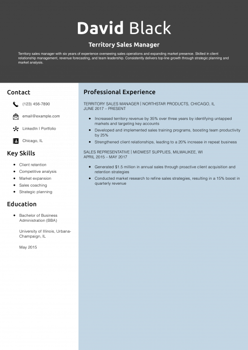 Territory Sales Manager Resume Example