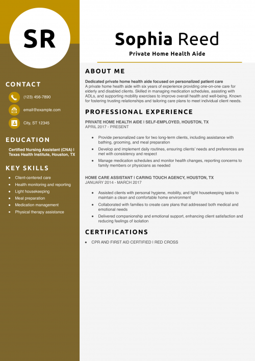 Private Home Health Aide Resume Example