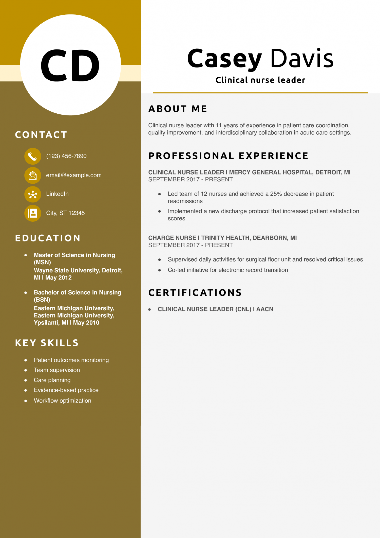 Clinical nurse leader resume example