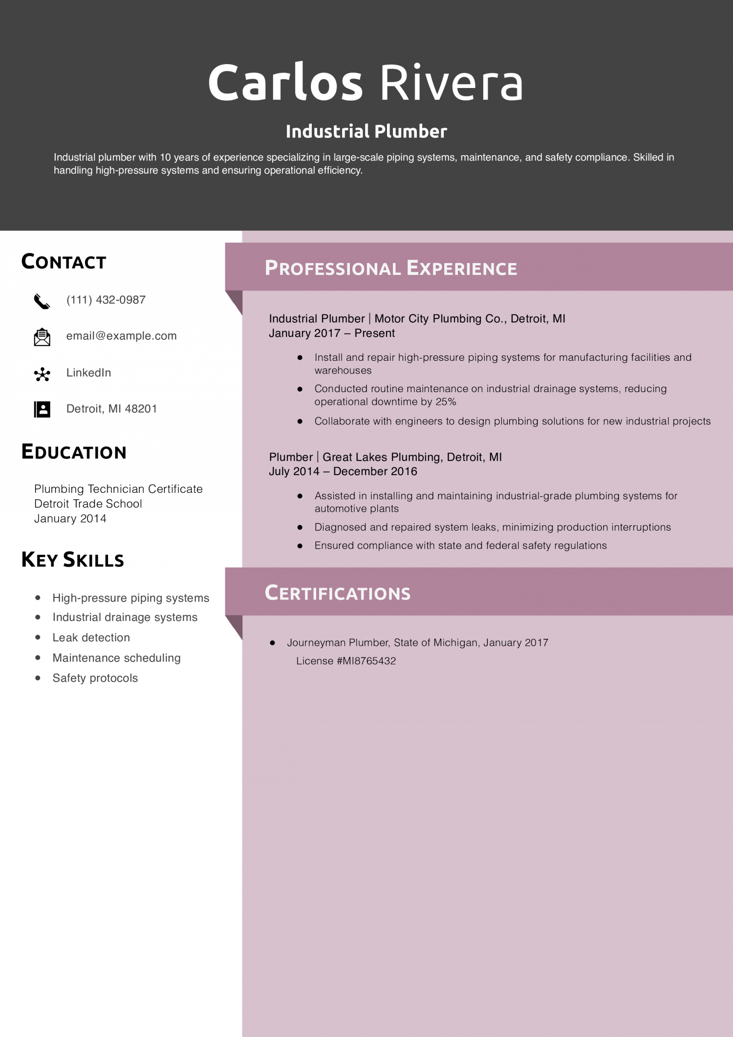 Industrial Plumber Resume Example