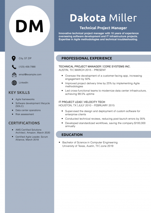 Technical Project Manager Resume Example