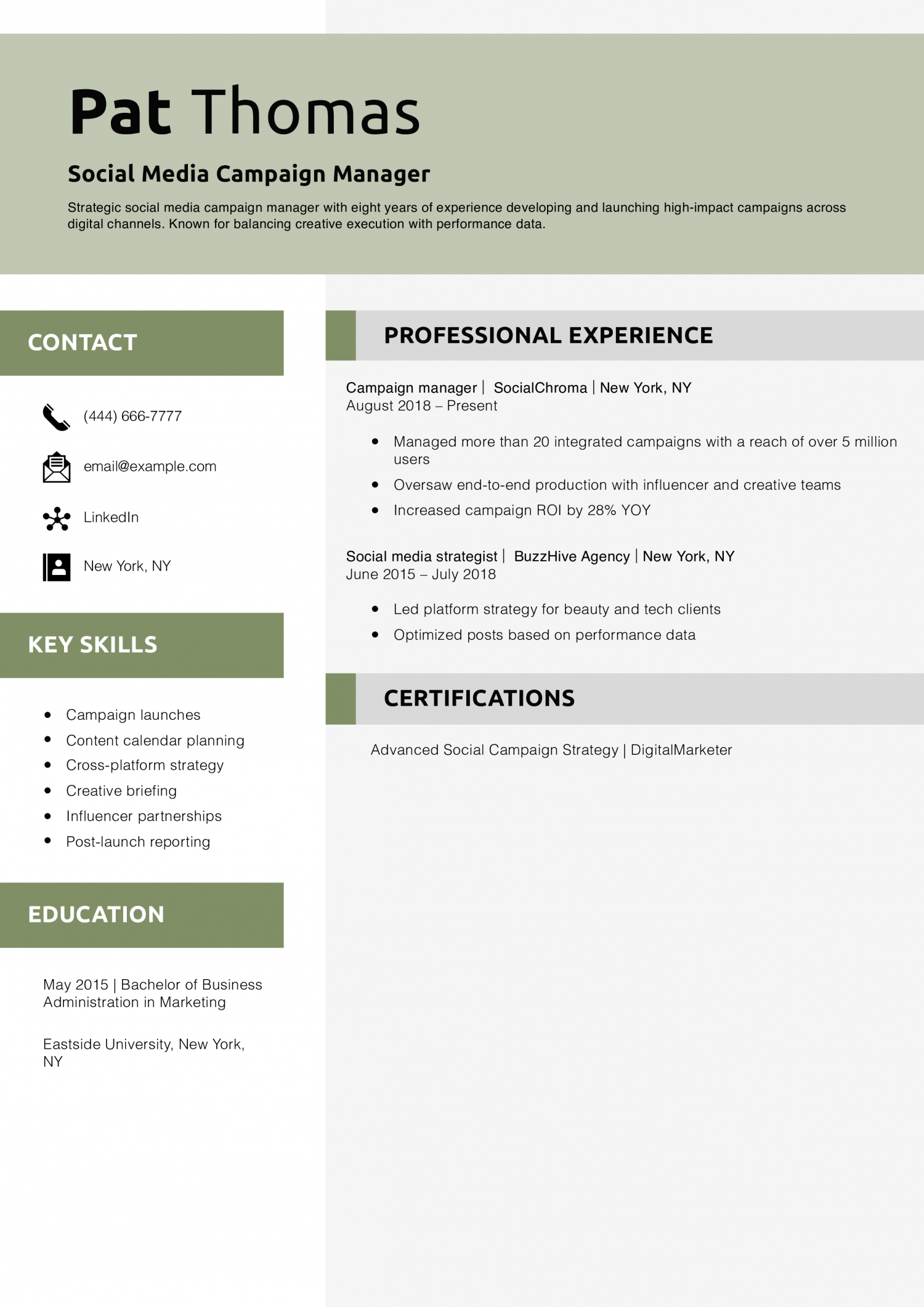 Social Media Campaign Manager Resume Example