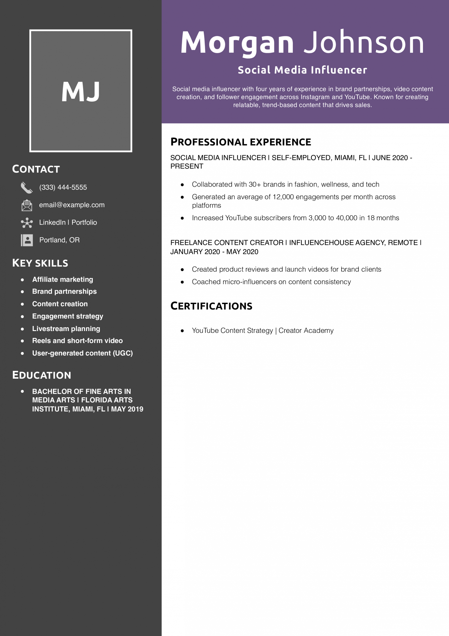 Social Media Influencer Resume Example