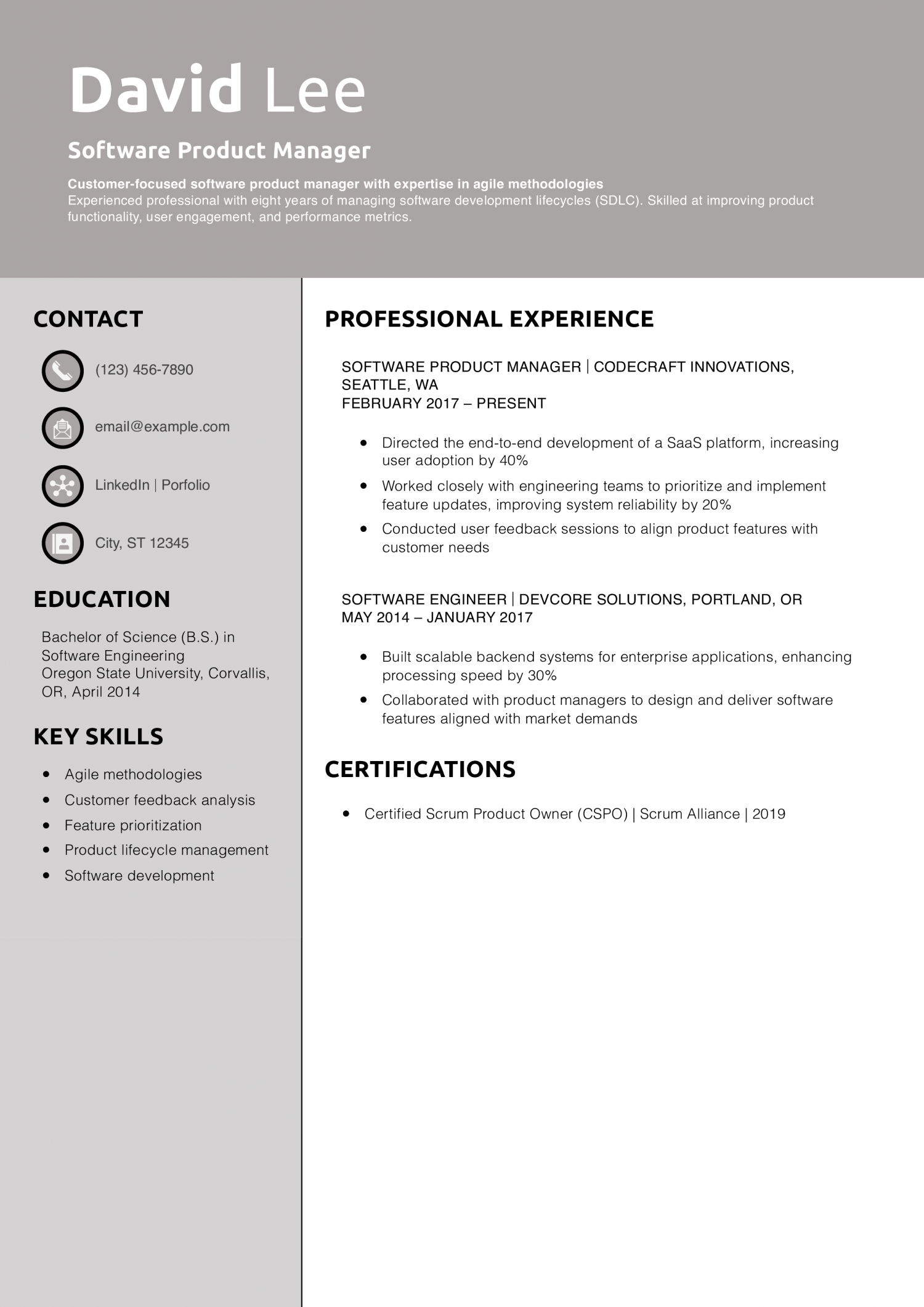 Software Product Manager Resume Example