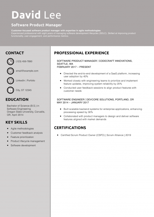 Software Product Manager Resume Example