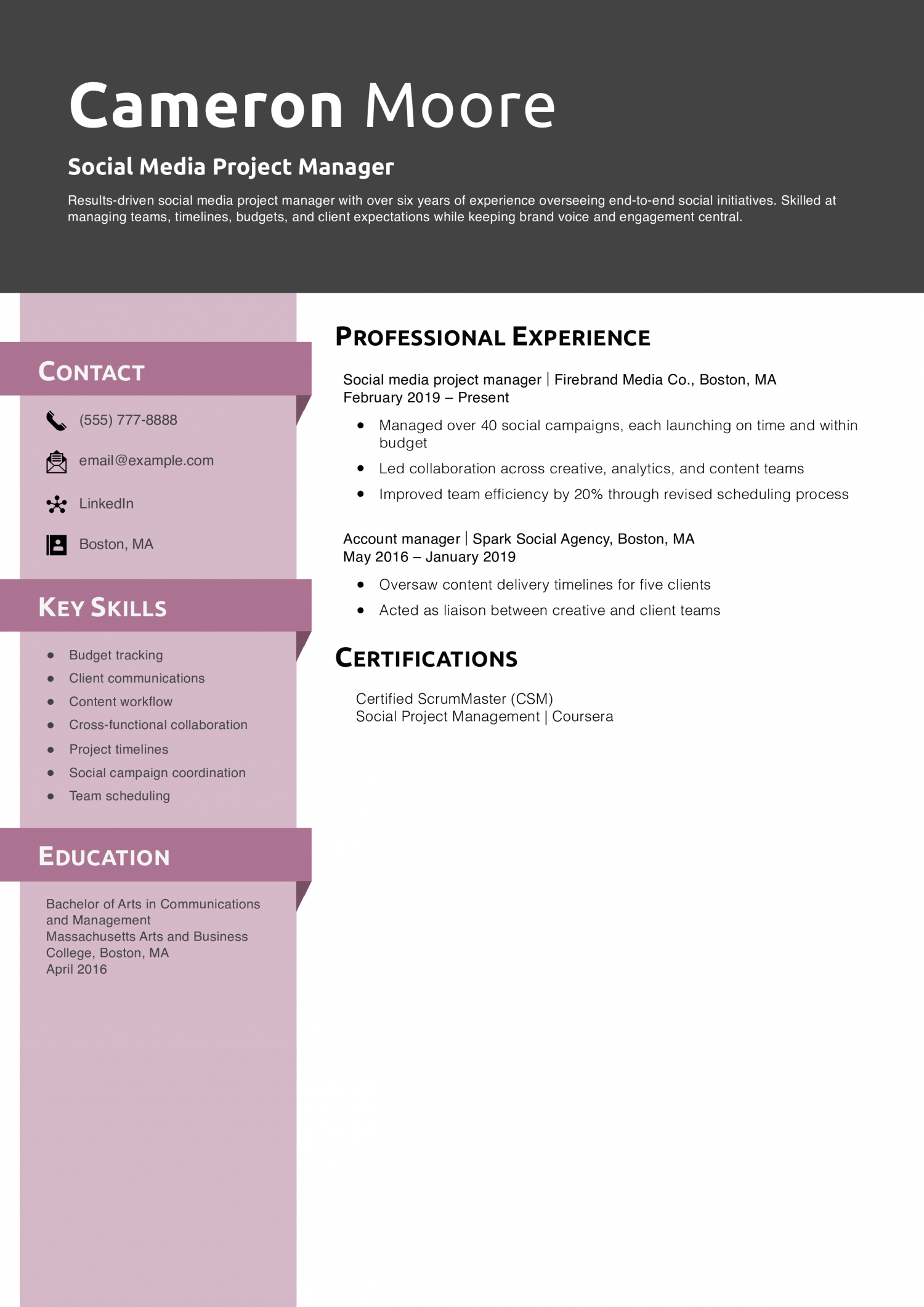 Social Media Project Manager Resume Example