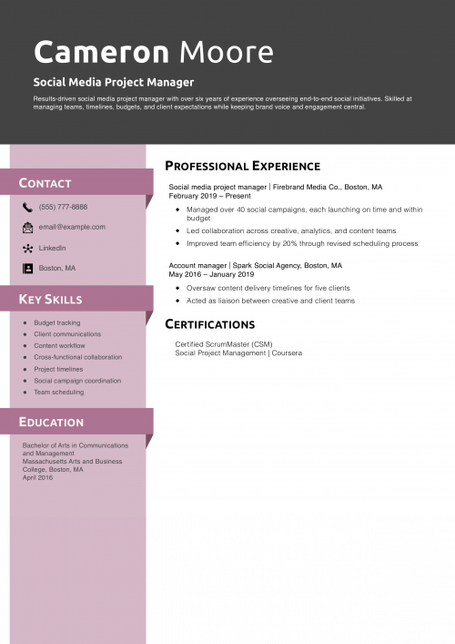 Social Media Project Manager Resume Example
