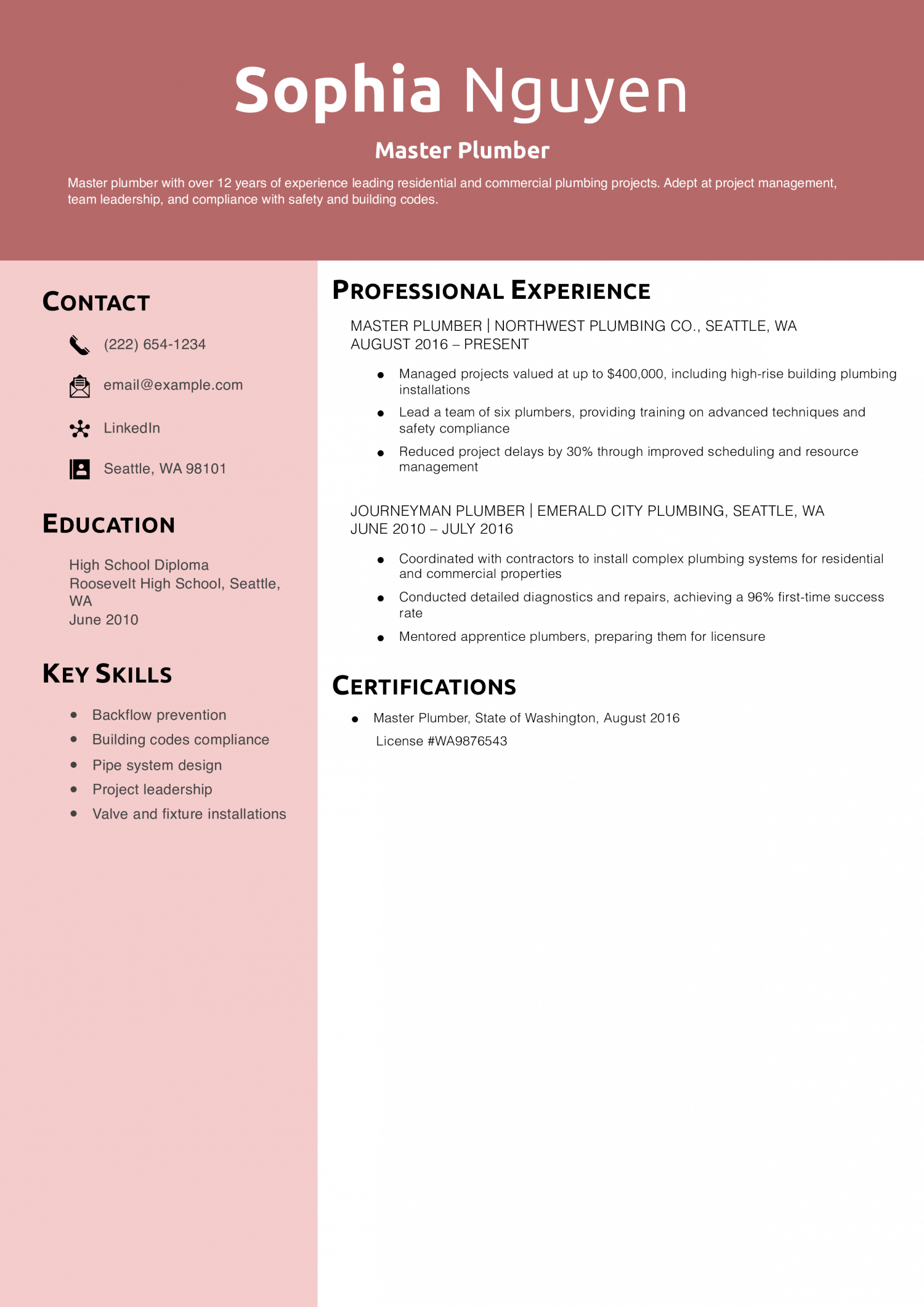 Master Plumber Resume Example