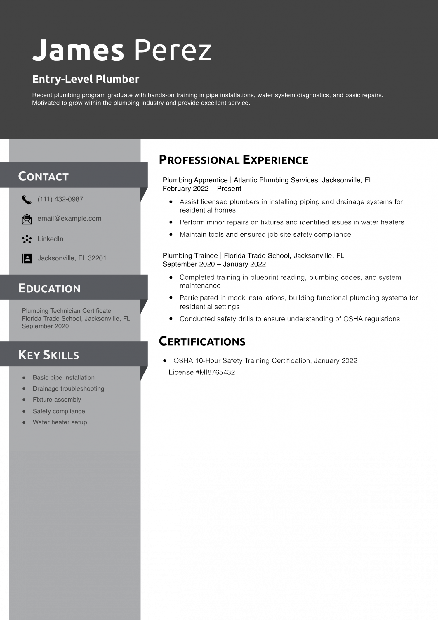 Entry-Level Plumber Resume Example