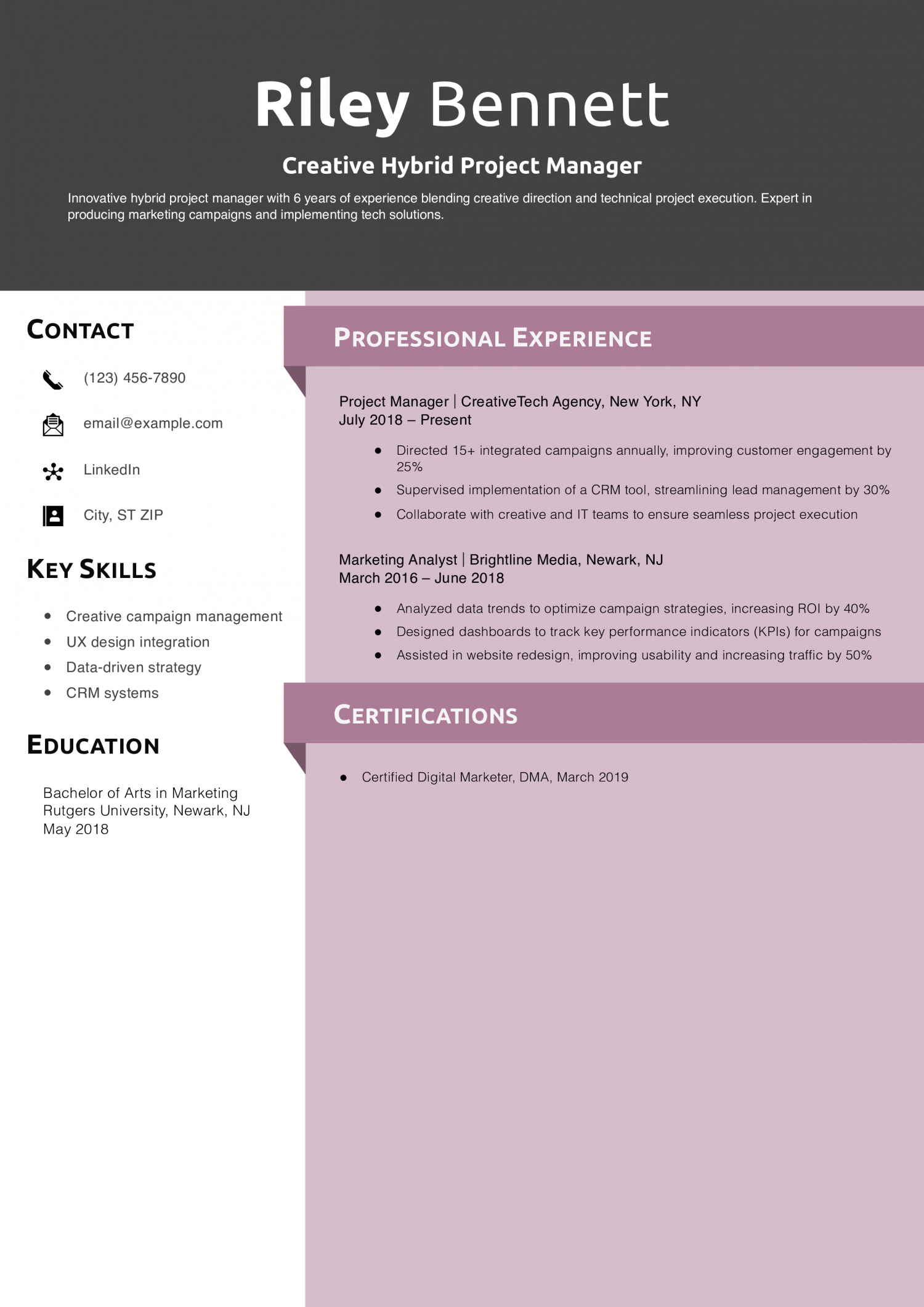 Creative Hybrid Project Manager Resume Example