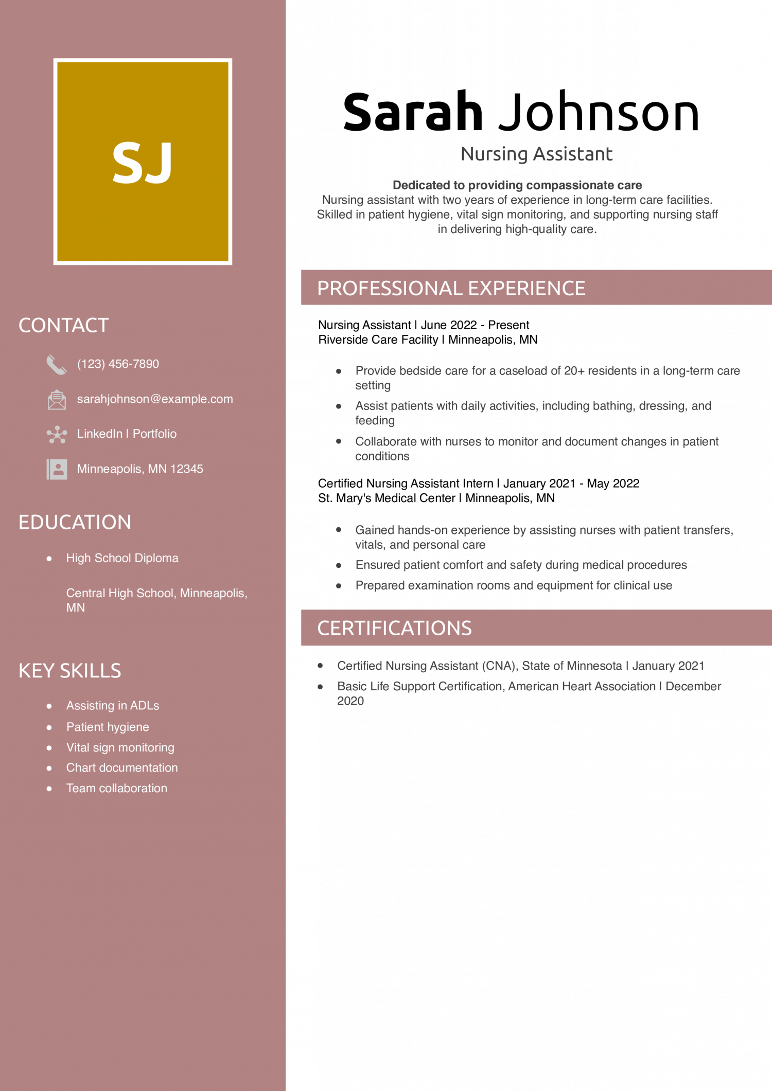 Nursing Assistant Resume Example
