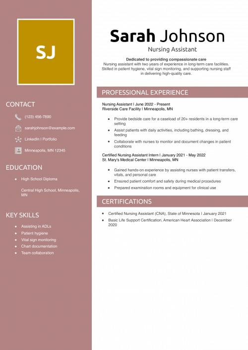 Nursing Assistant Resume Example