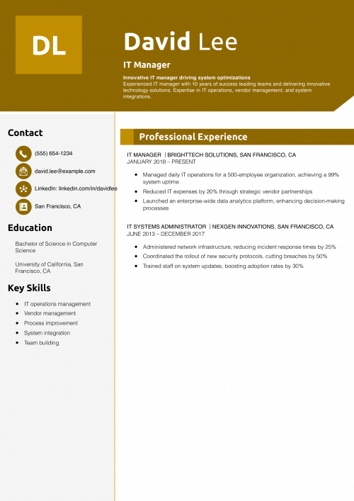 IT Manager Resume Example 