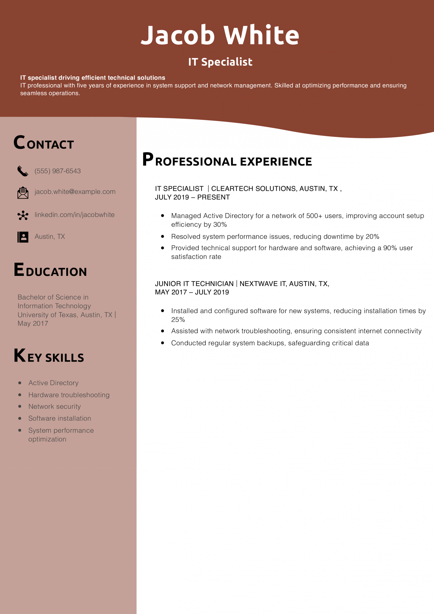 IT Specialist Resume Example 