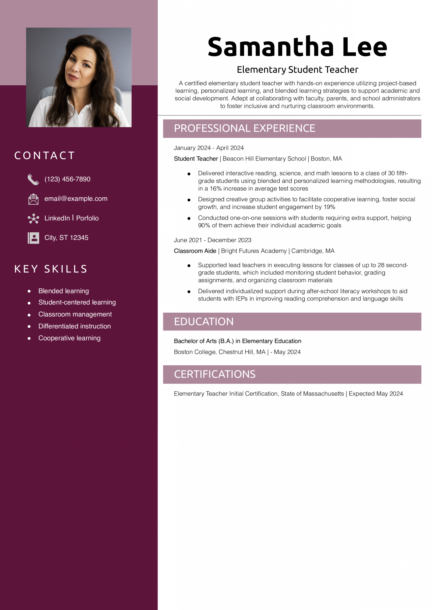 Elementary Student Teacher Resume Example
