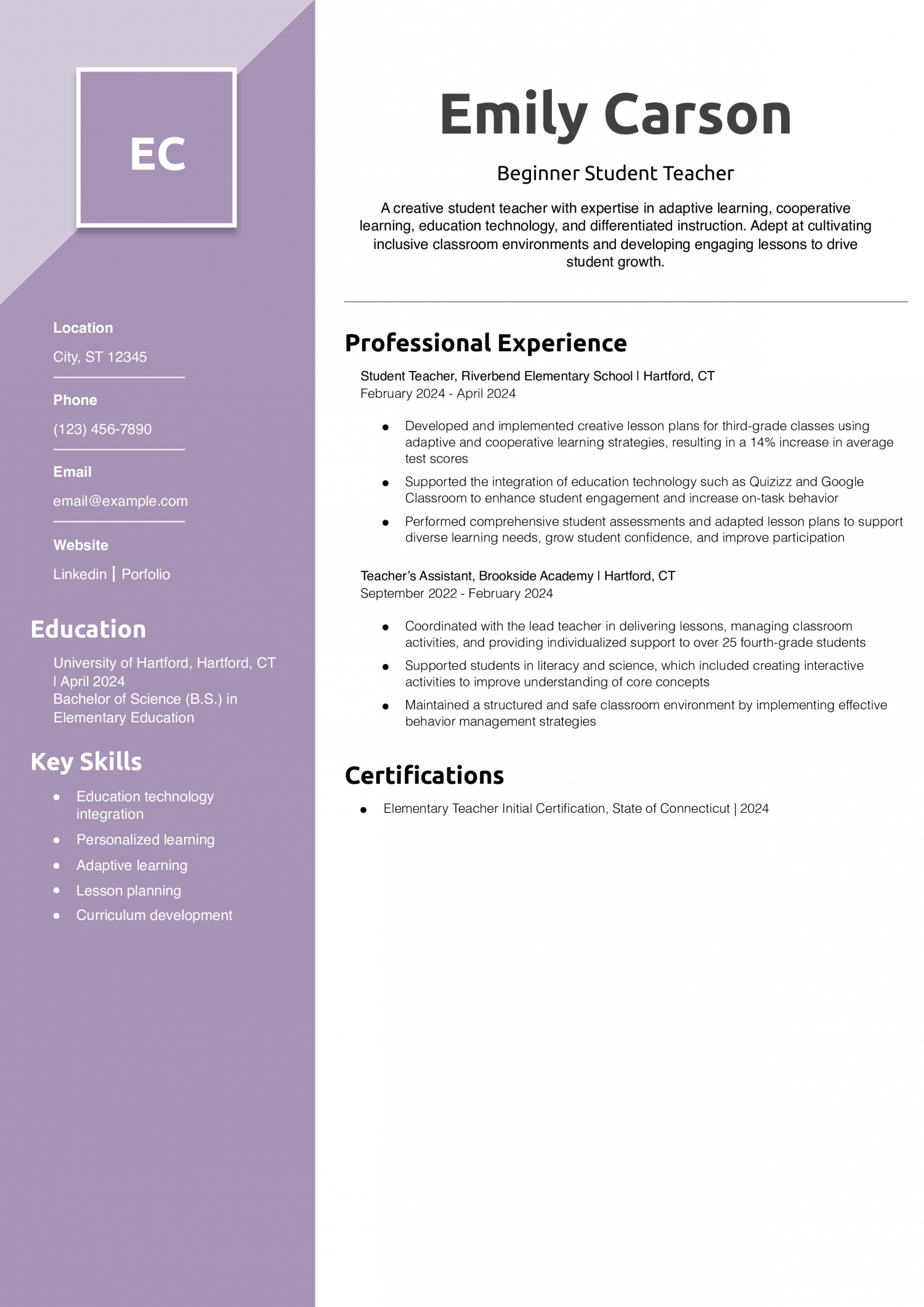 Beginner Student Teacher Resume Example