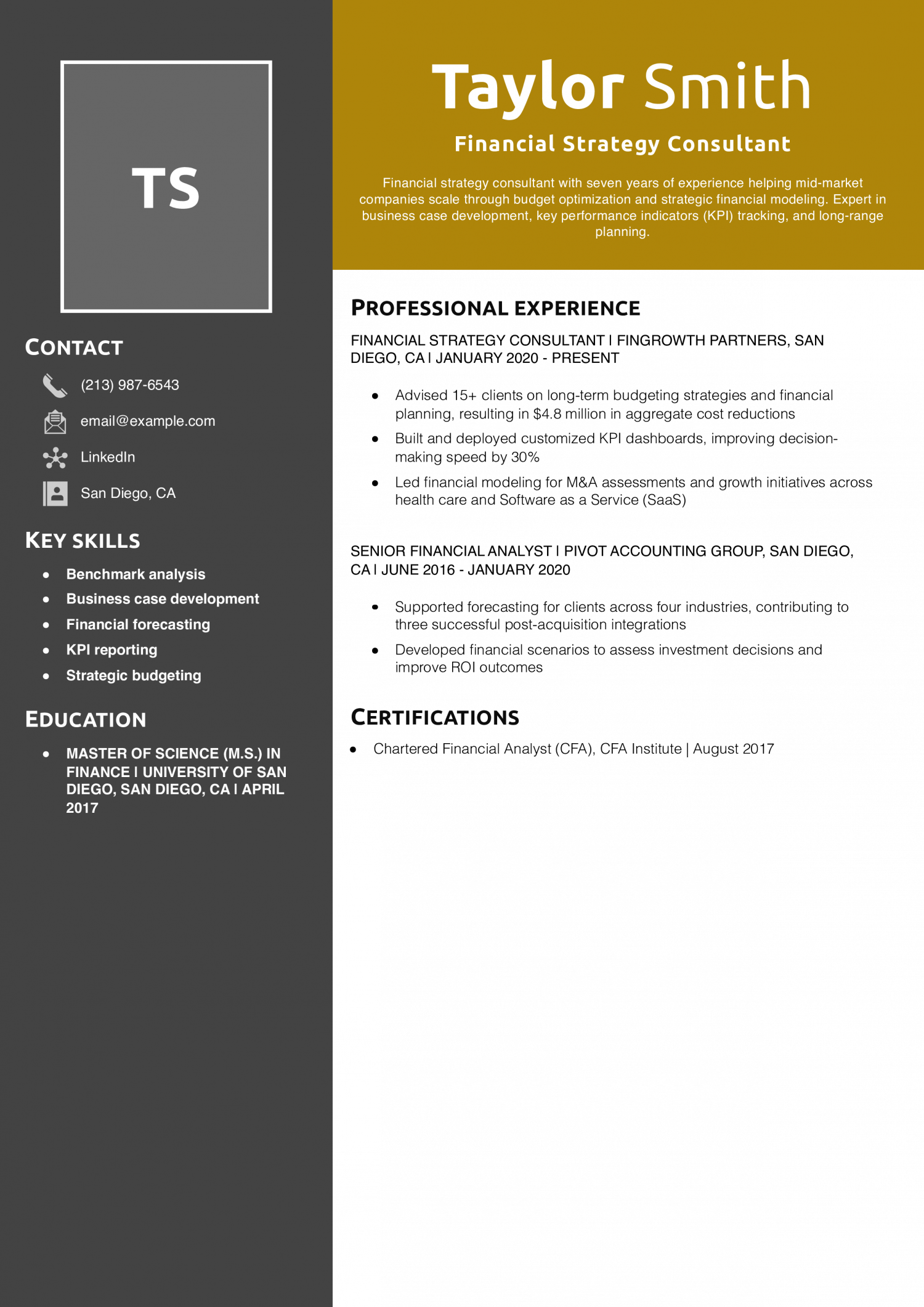 Financial Strategy Consultant Resume Example