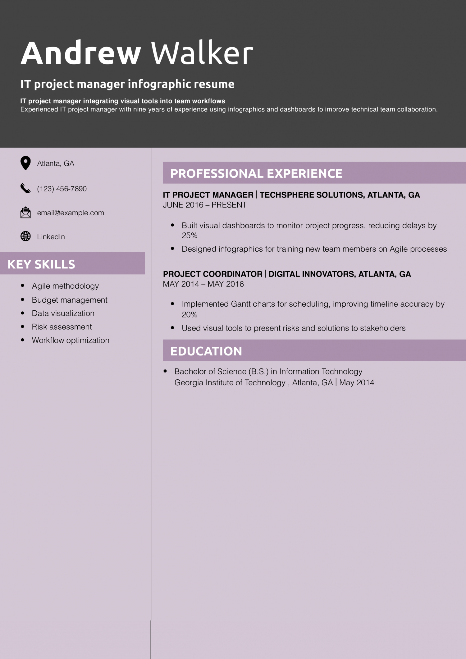 IT project manager infographic resume