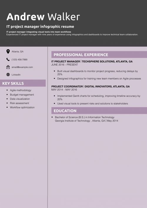 IT project manager infographic resume