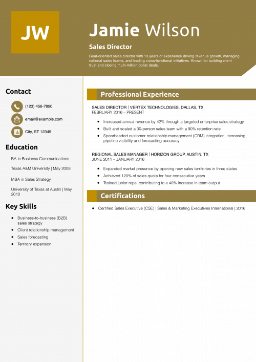 Sales Director Resume Example