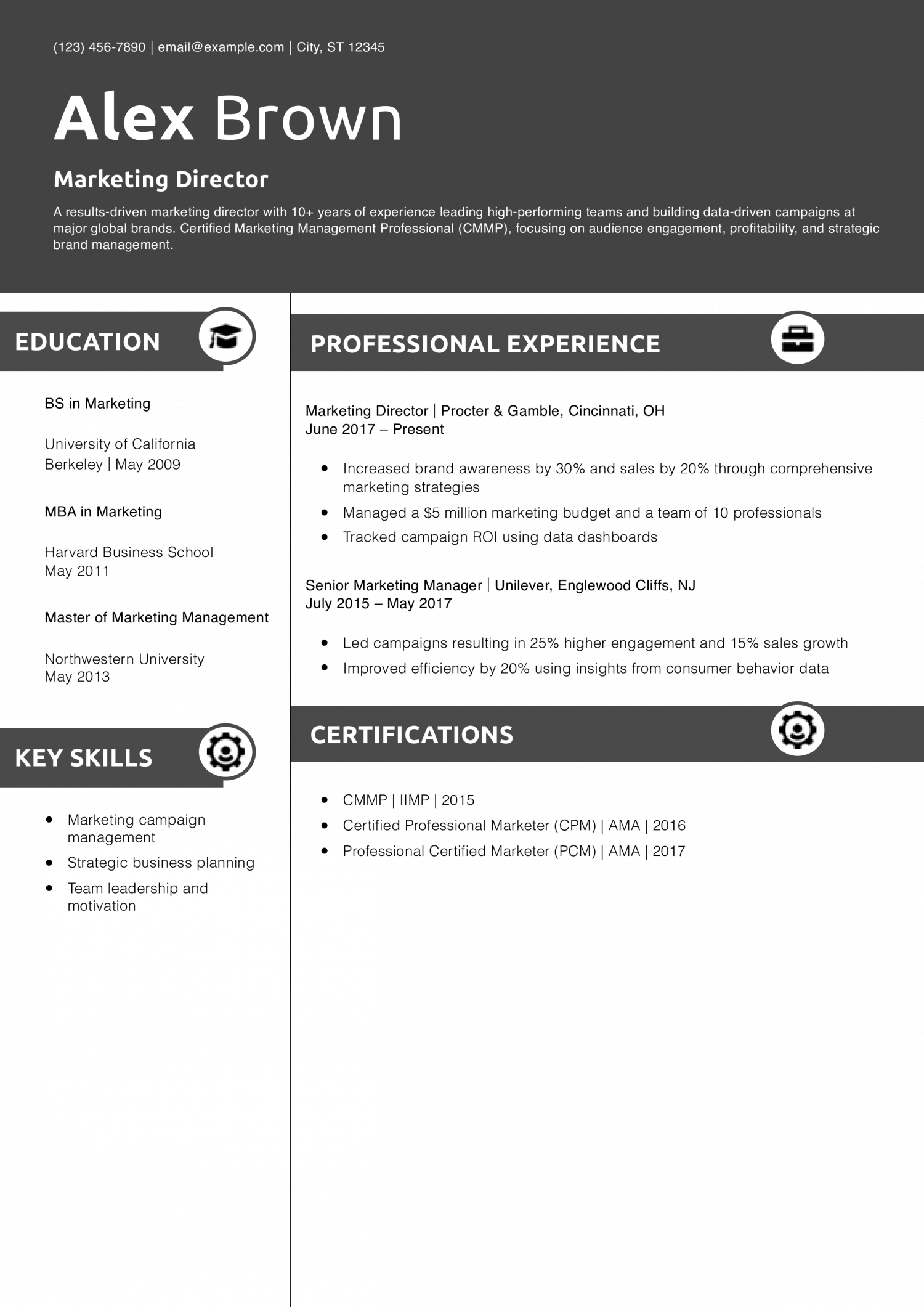 Marketing Director Resume Example
