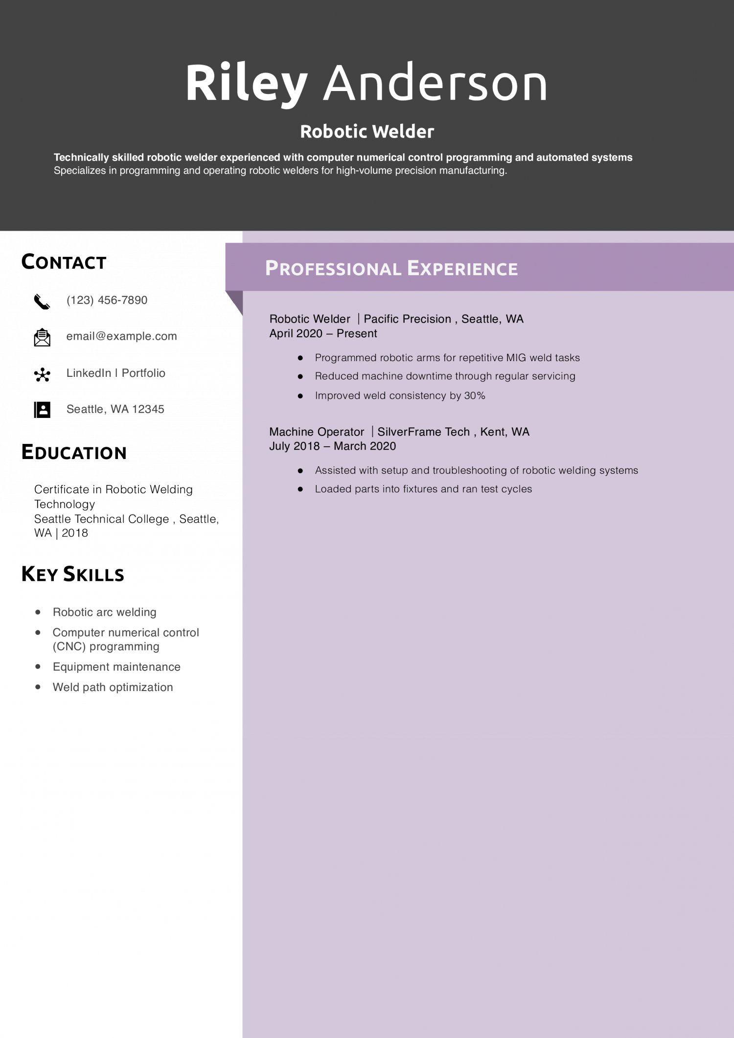 Robotic Welder Resume Example 