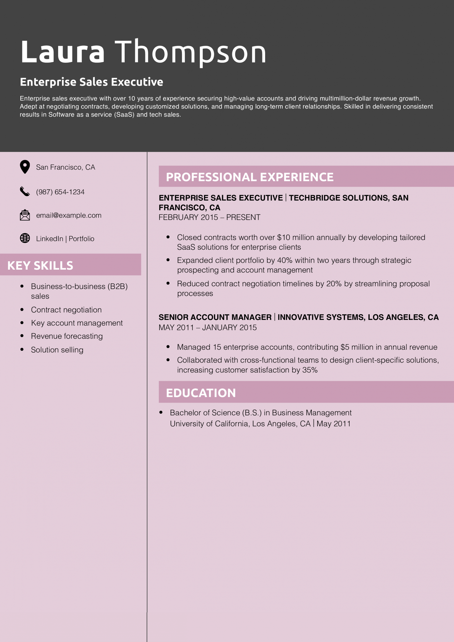 Enterprise Sales Executive Resume Example