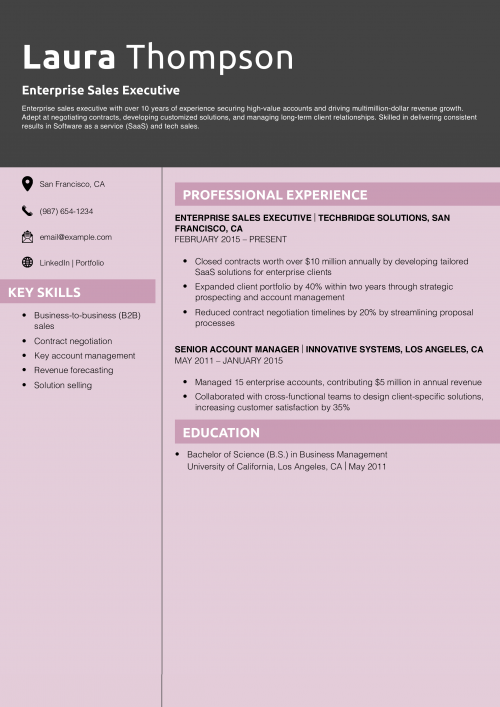 Enterprise Sales Executive Resume Example