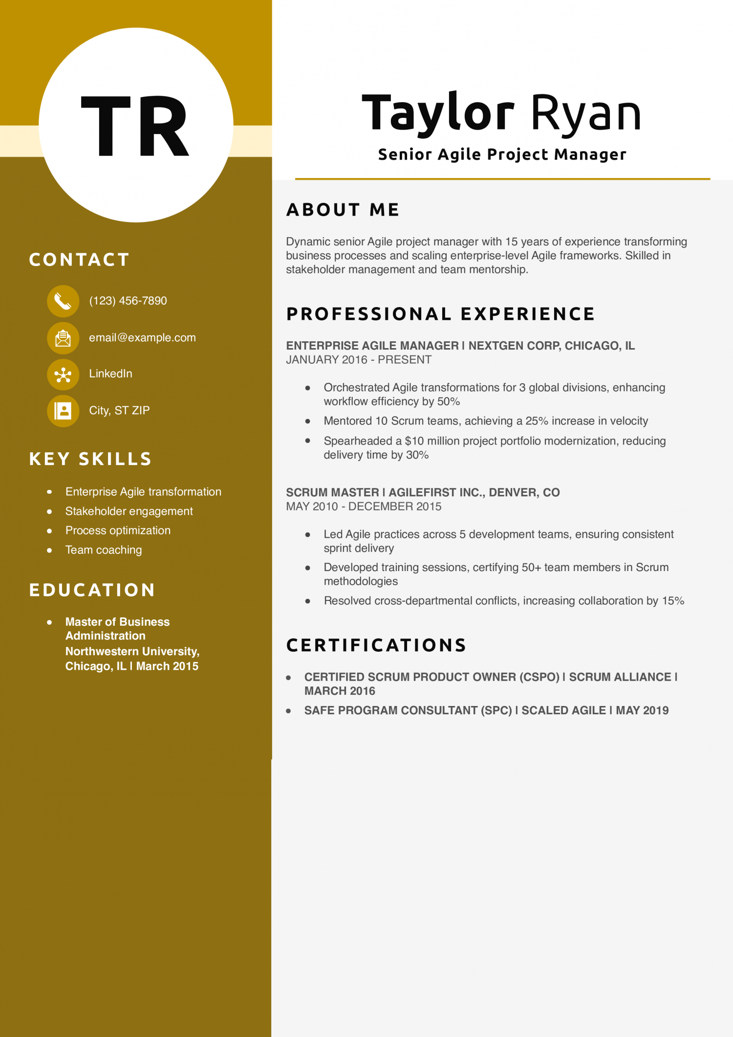 Senior Agile Project Manager Resume Example