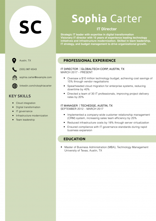 IT Director Resume Example 