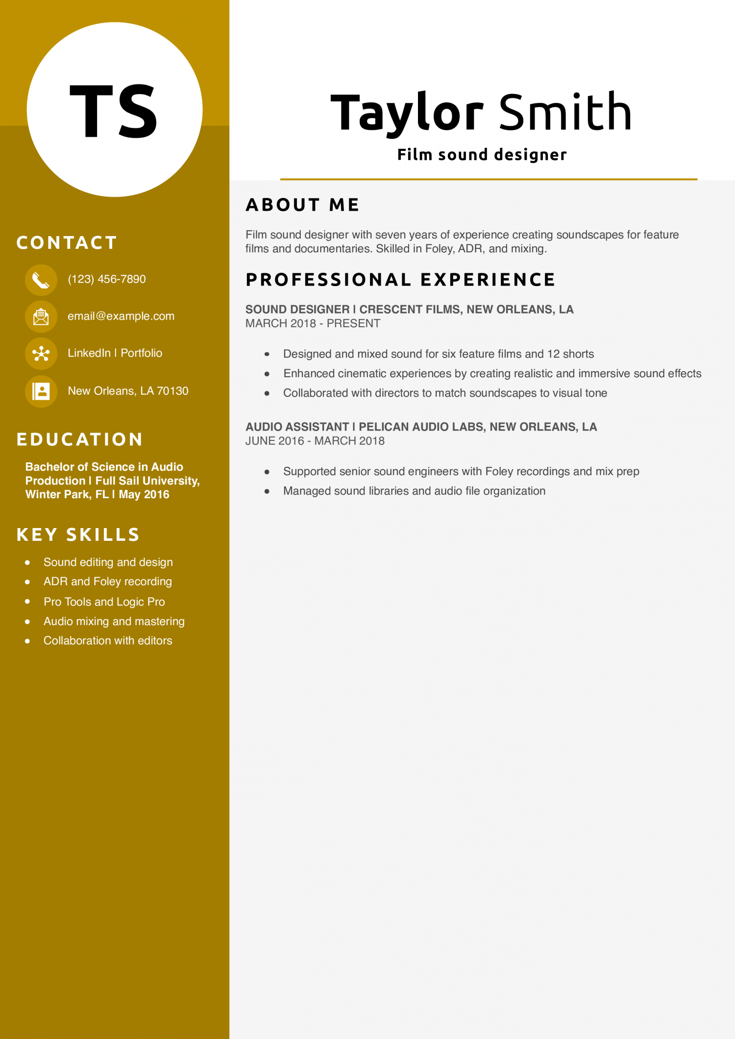 Film sound designer resume example