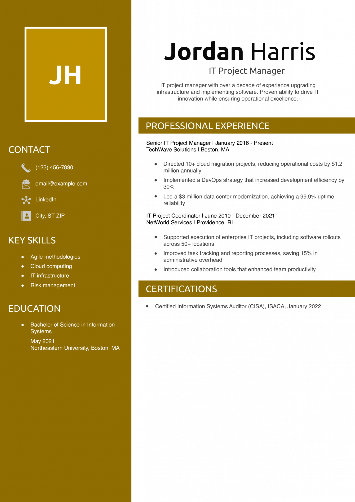 IT Project Manager Resume Example