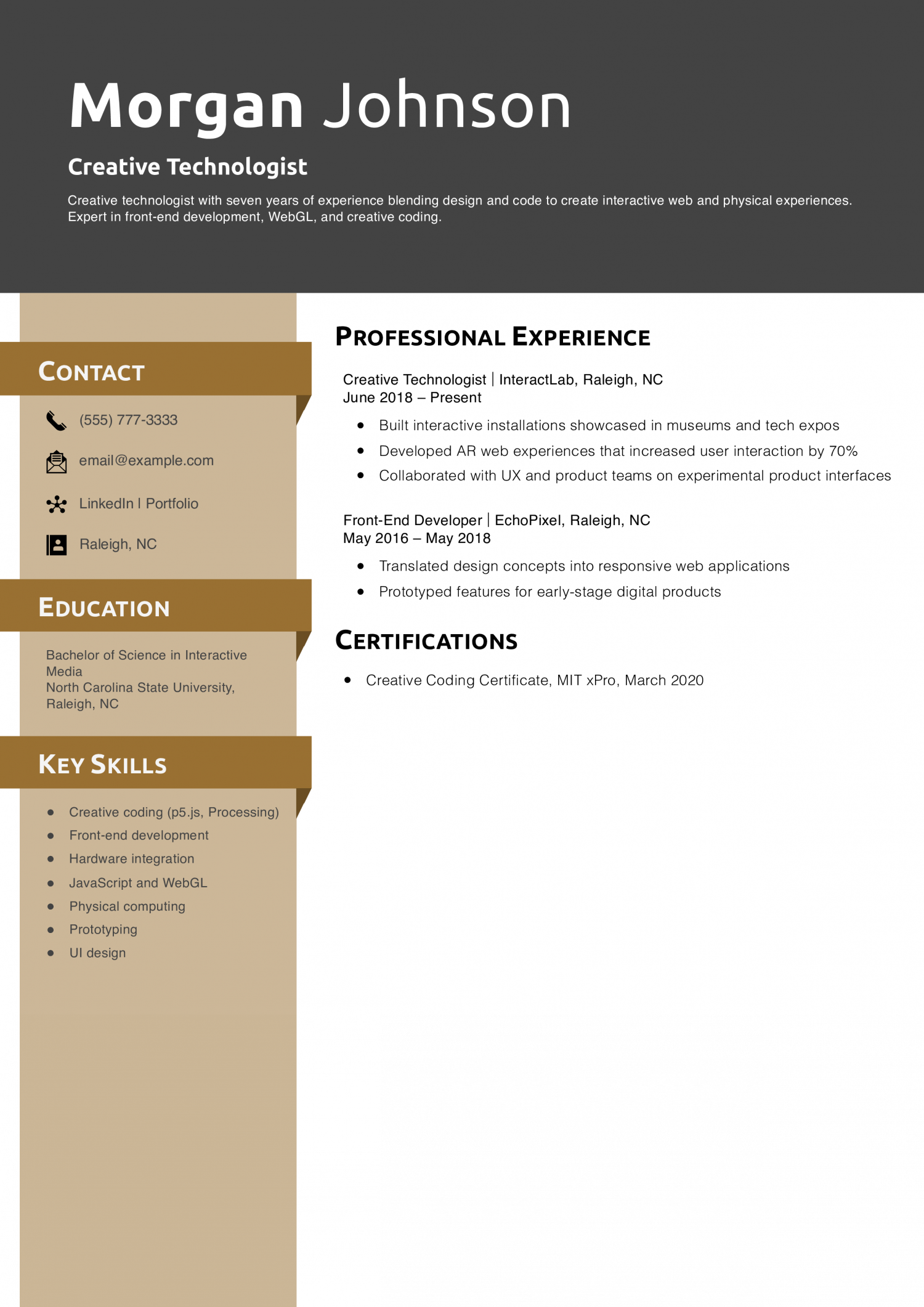 Creative Technologist Resume