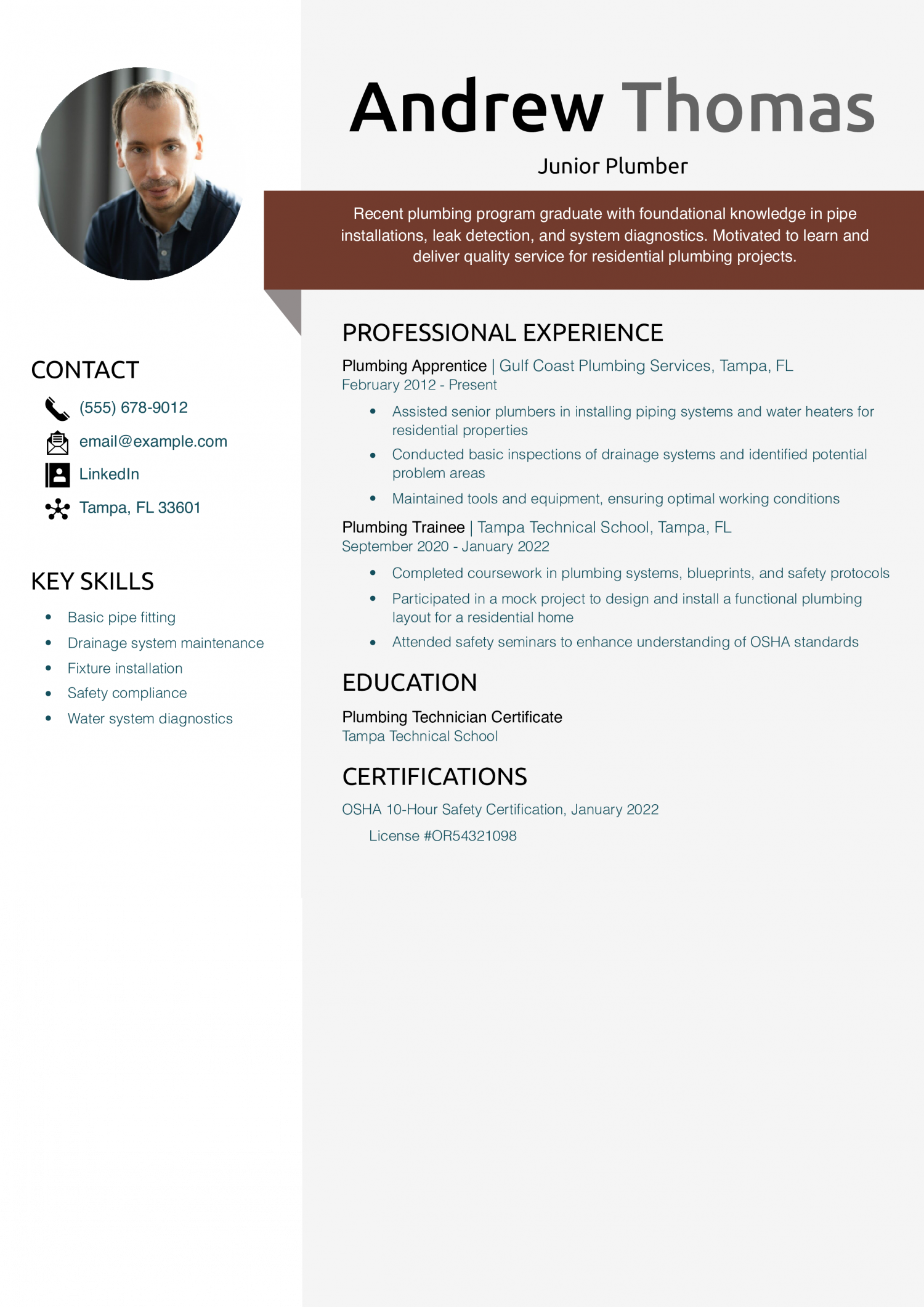 Junior Plumber Resume Example