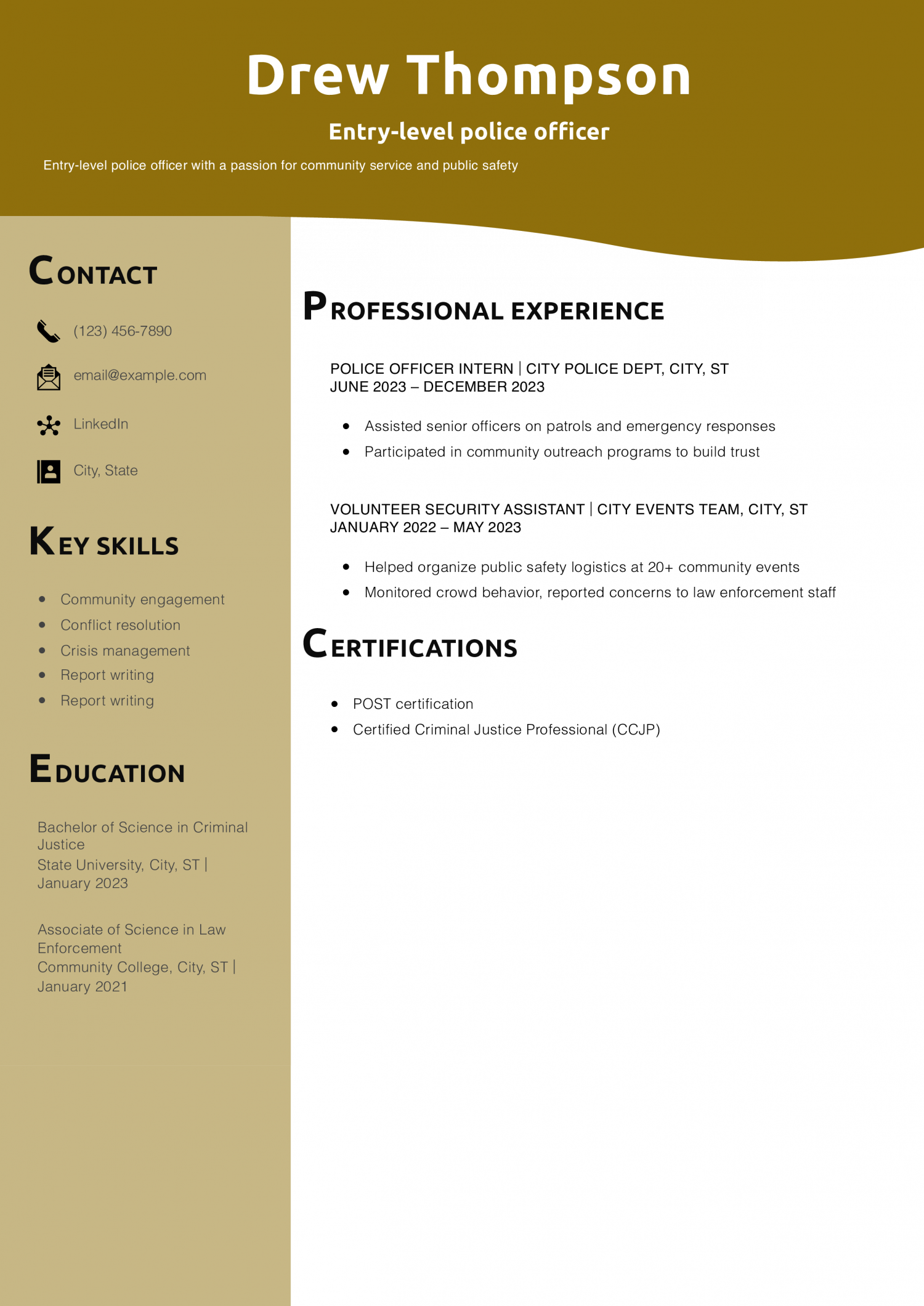 Entry-level police officer resume example