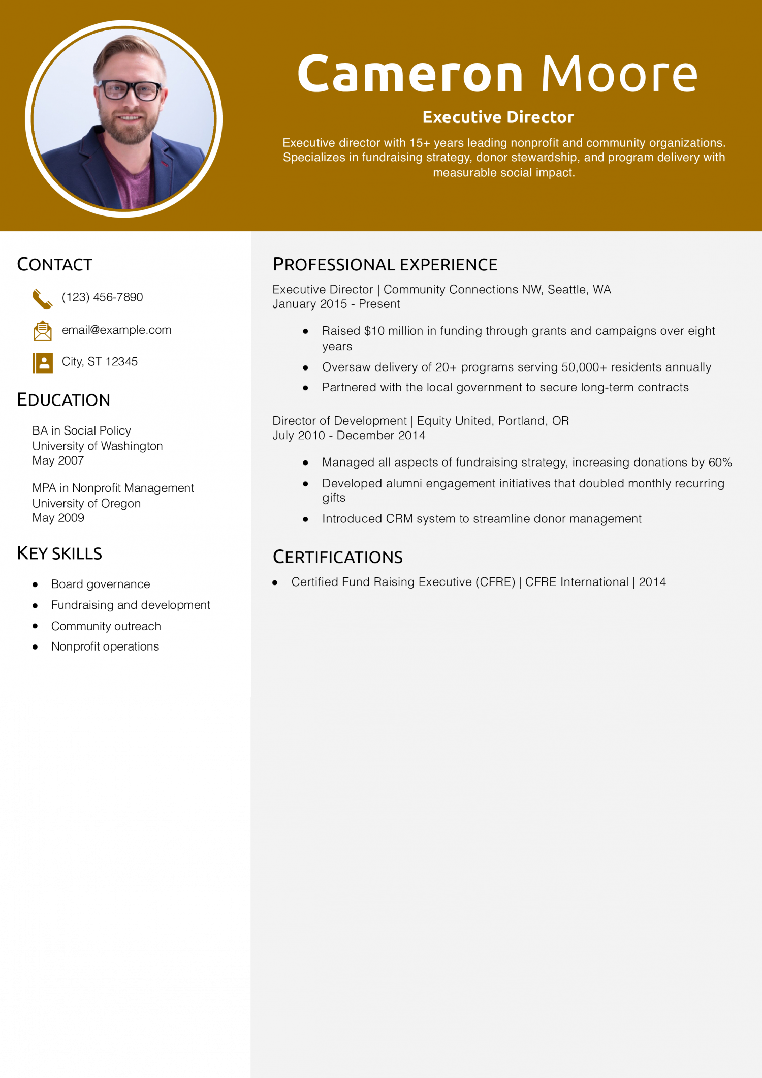 Executive Director Resume Example