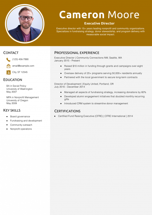 Executive Director Resume Example