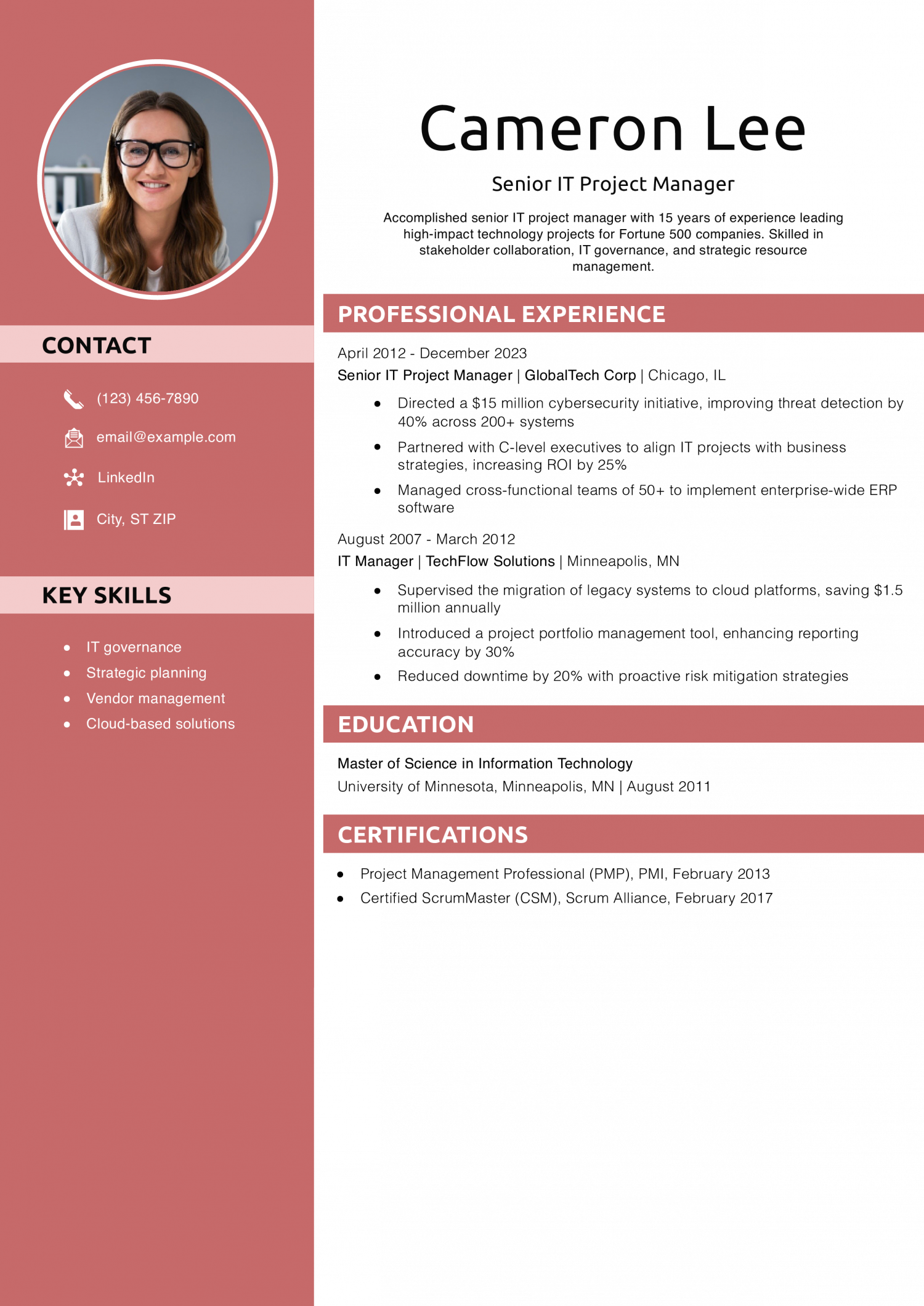 Senior IT Project Manager Resume Example