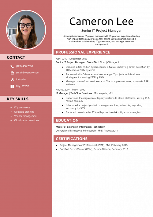 Senior IT Project Manager Resume Example