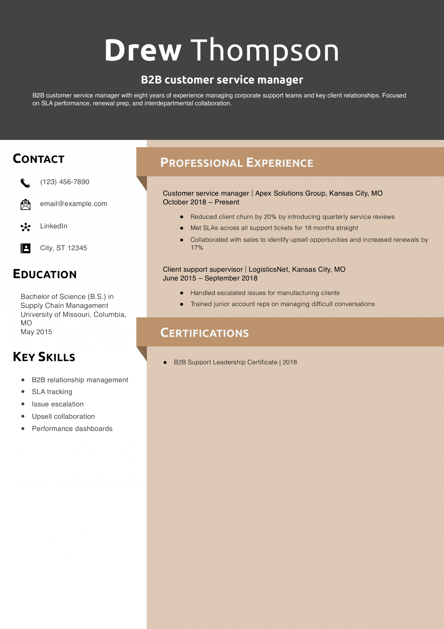 B2B customer service manager resume example