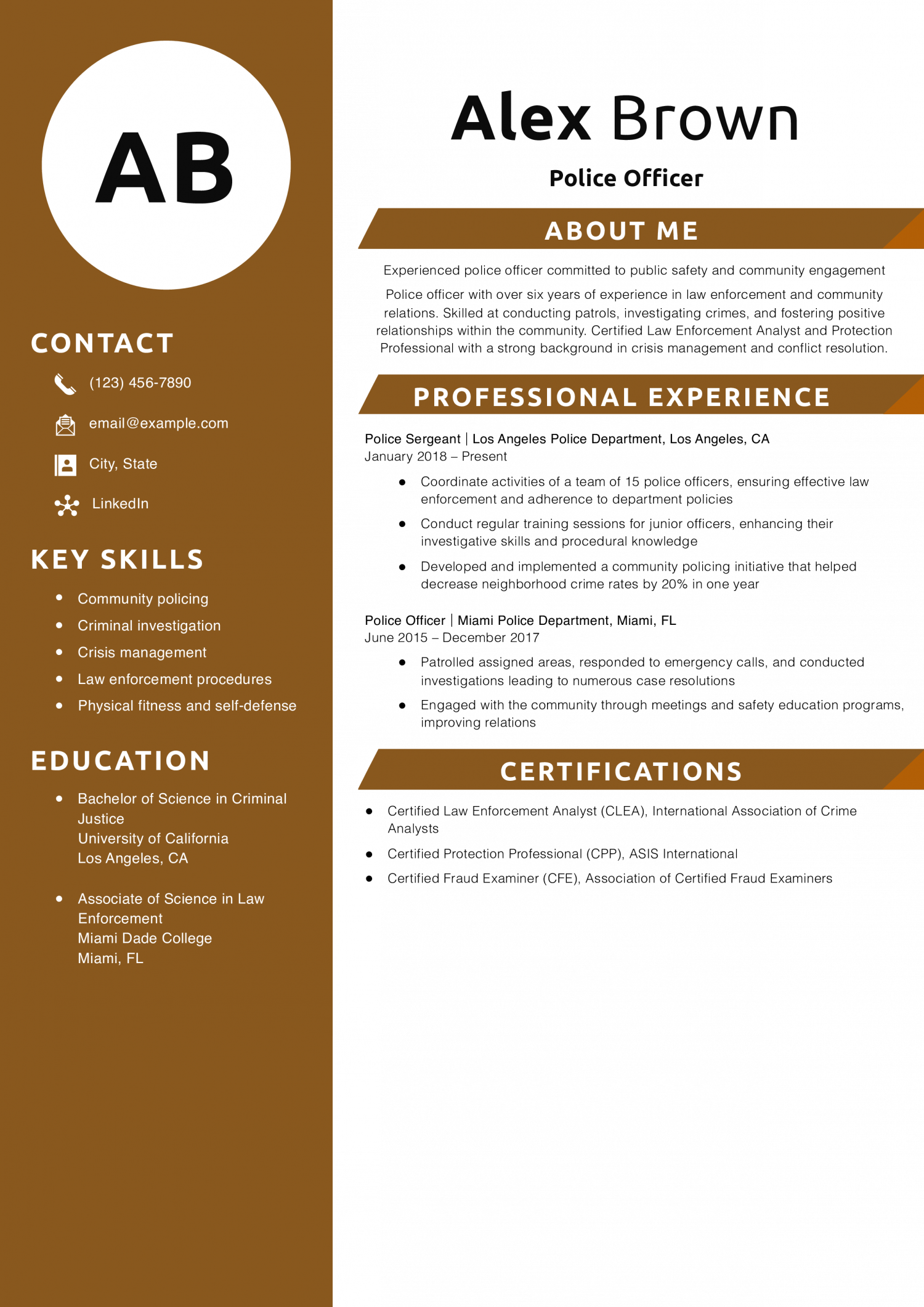 Police Officer Resume Example