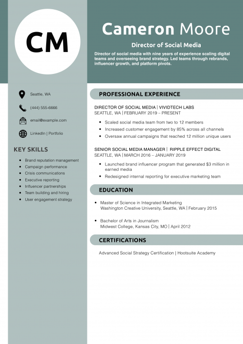 Director of Social Media Resume Example