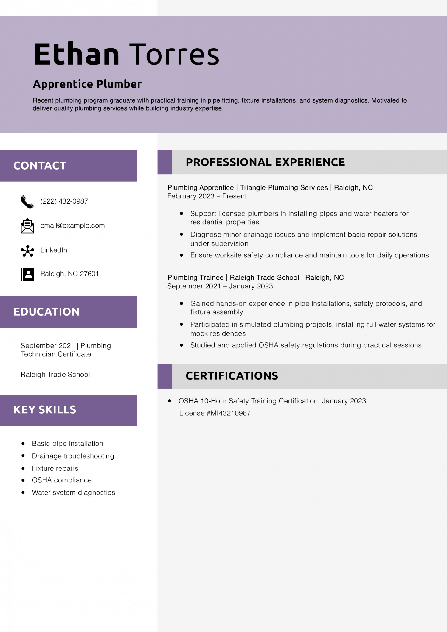Apprentice Plumber Resume Example