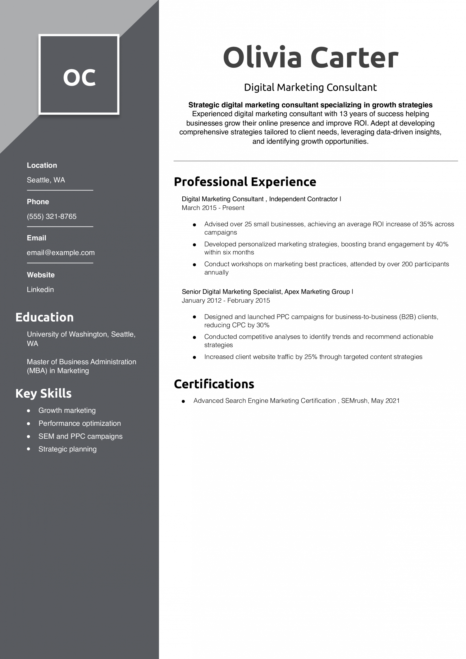 Digital Marketing Consultant Resume