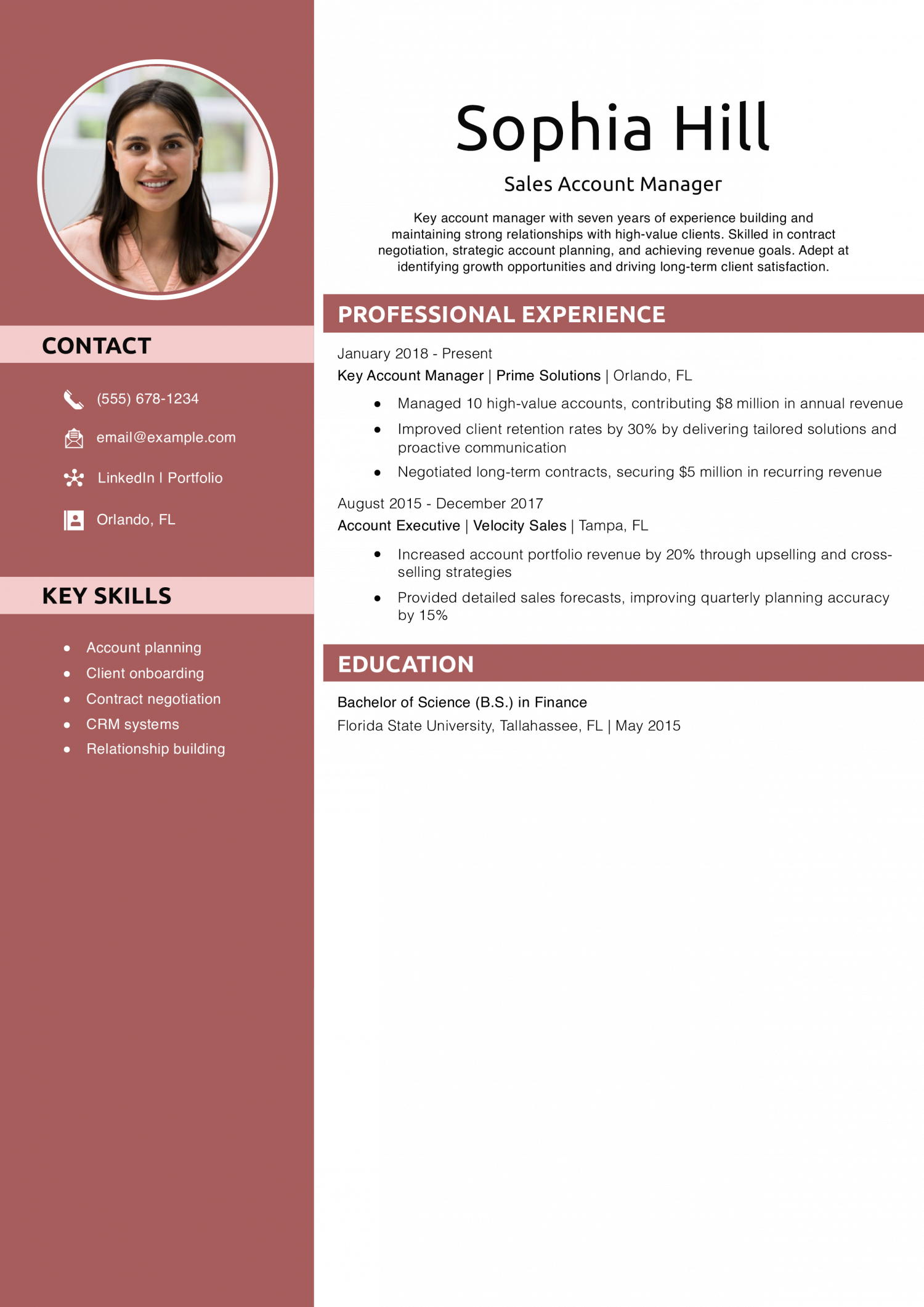 Sales Account Manager Resume Example