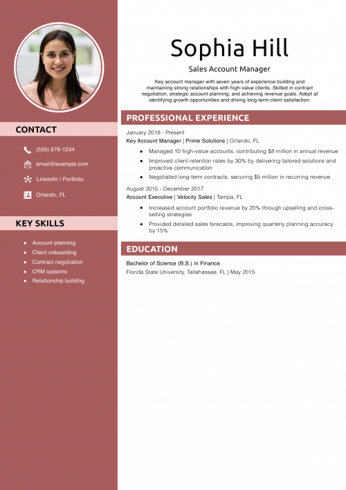 Sales Account Manager Resume Example