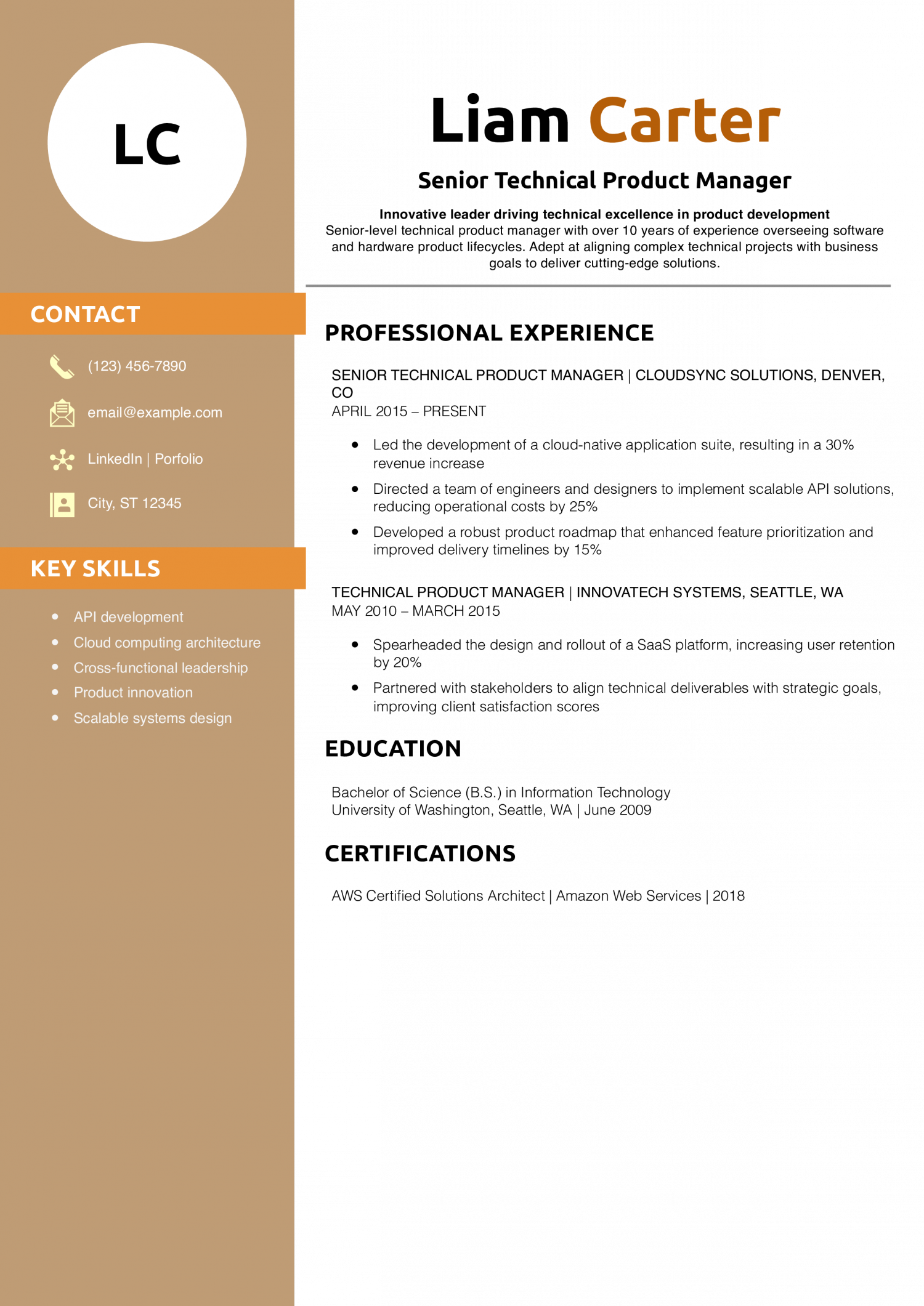 Senior Technical Product Manager Resume Example