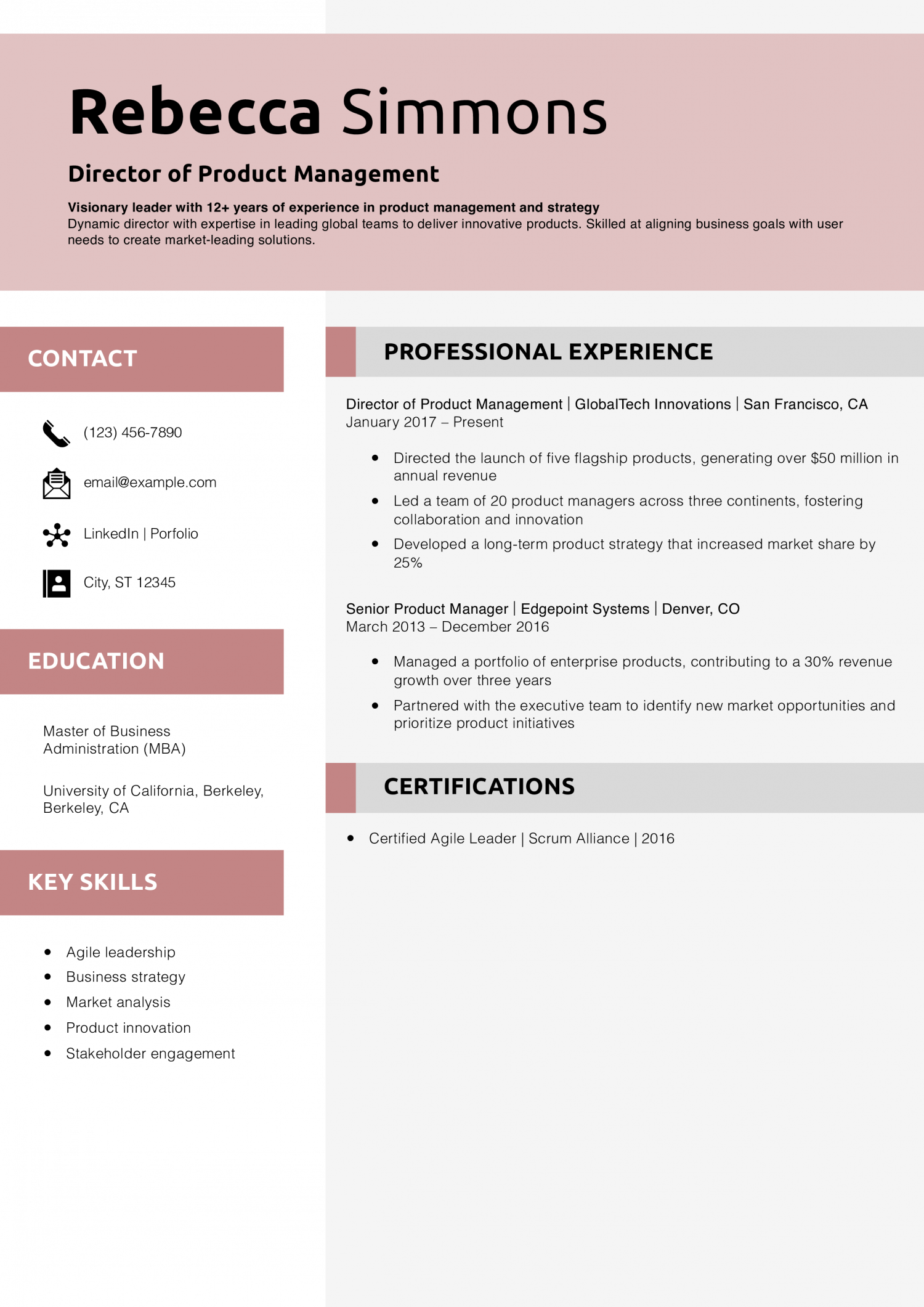 Director of Product Management Resume Example