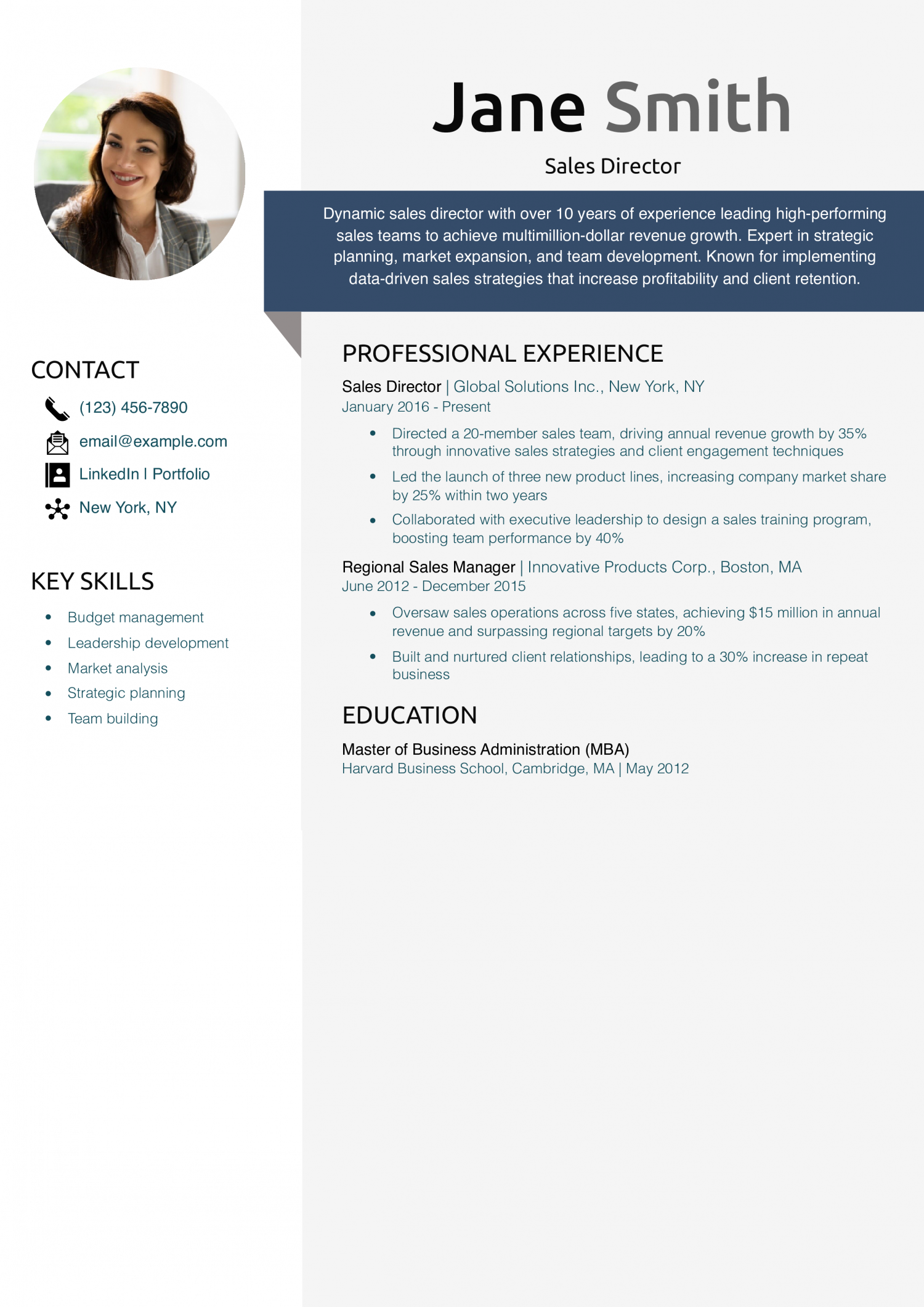 Sales Director Resume Example
