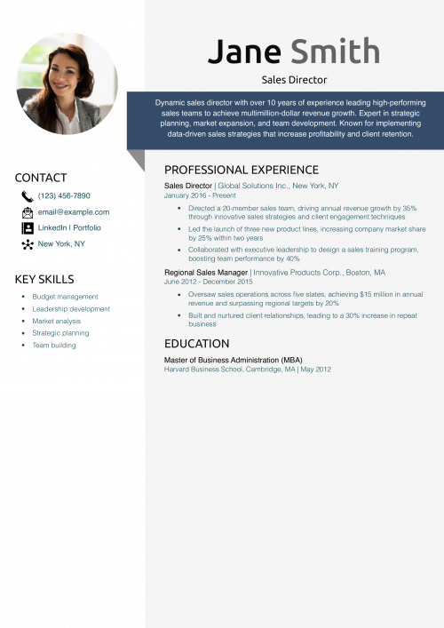 Sales Director Resume Example